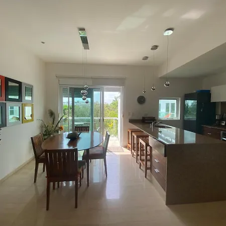Prime 1 Bedroom Condo In Historic Downtown Playa Del Carmen
